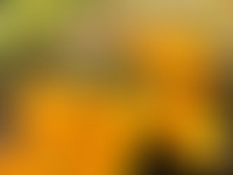 今日は少し寒いです