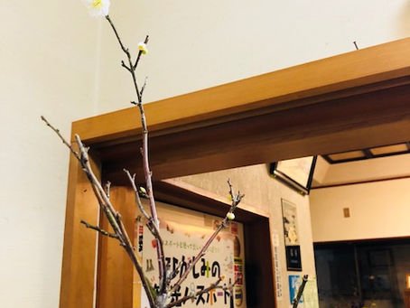 一足早く・・・