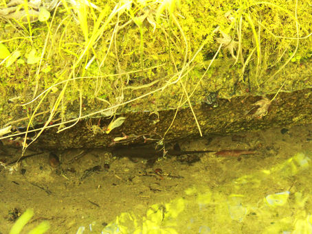 風が気持ちよい日です