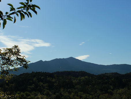 初めての発見!!