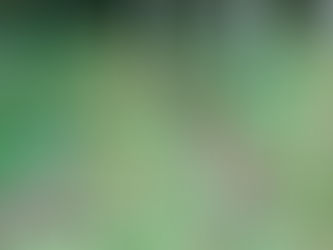 涼しくなりました