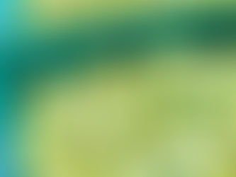梅干しを作ります