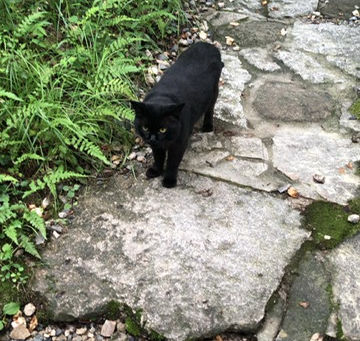 雨が続き・・・