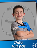Halbot Théo (1).png