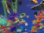 Thumbnail: Turtle Fabric Collage Pattern Advanced Level 3