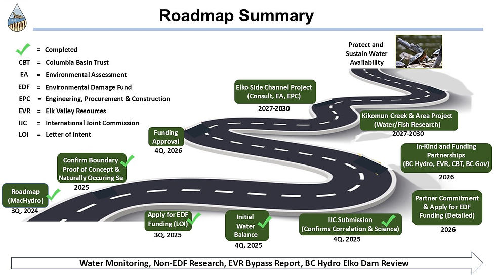 Roadmap Summary Dec 2025 Website Rev 2.jpg