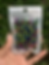 Thumbnail: Alpha Beads