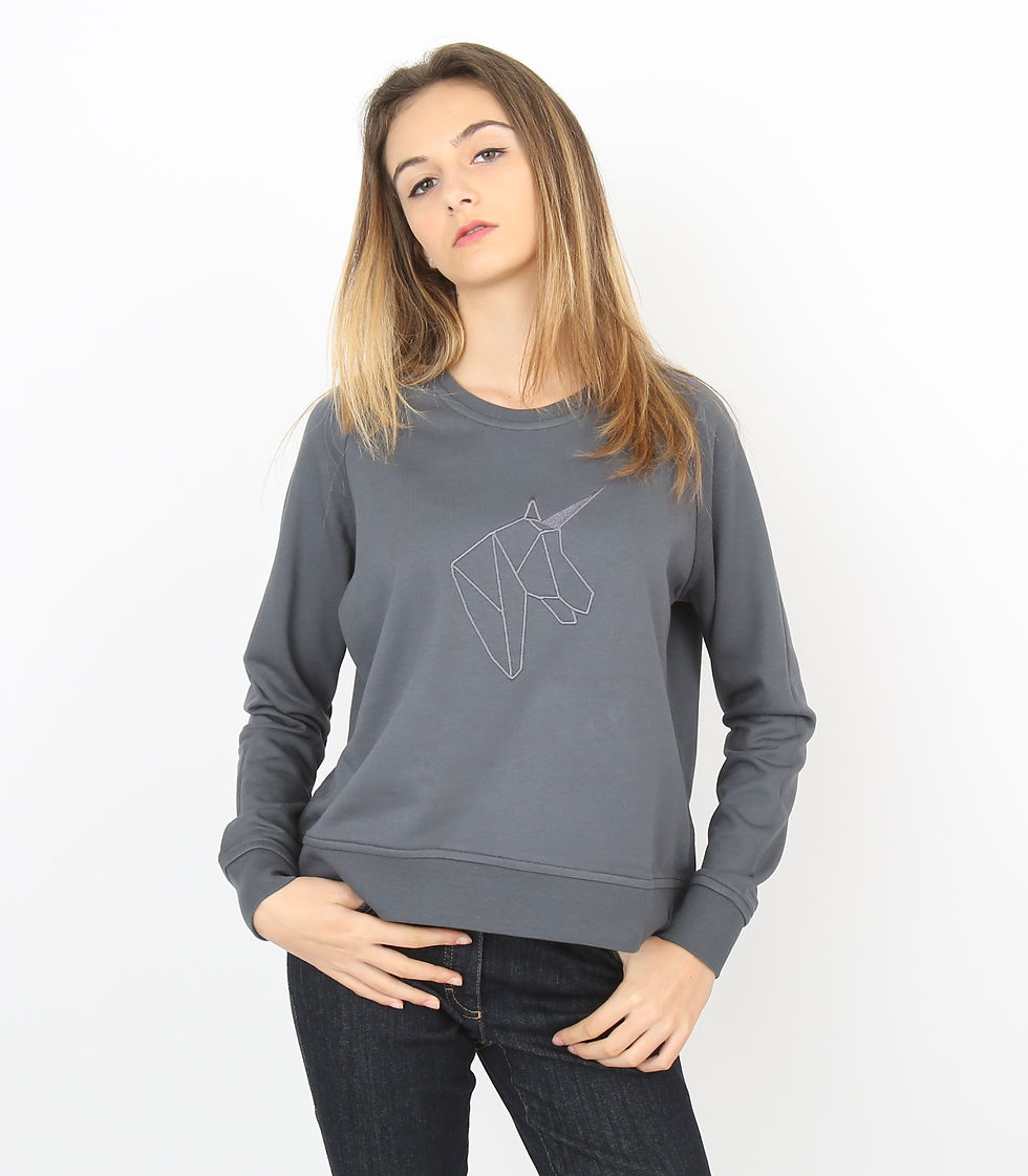 Sweat Gris licorne