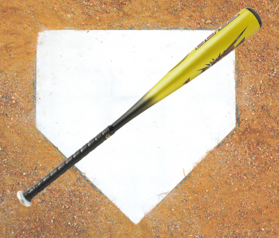 How To Break In Your Bat