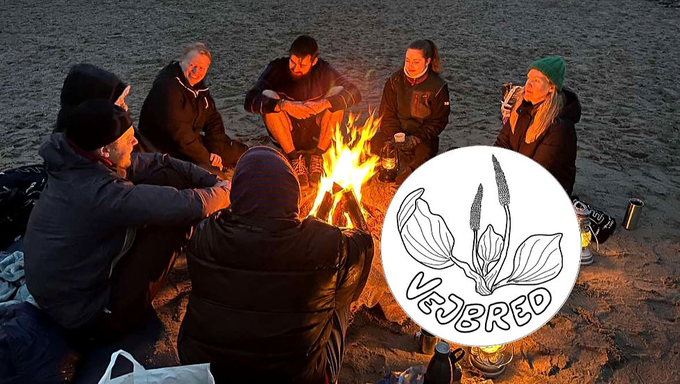 Solnedgang & Strandbål 🌞🔥