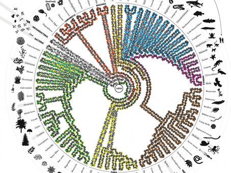 Double-Edged Double-Helical Discoveries? A Discourse on Gene Editing