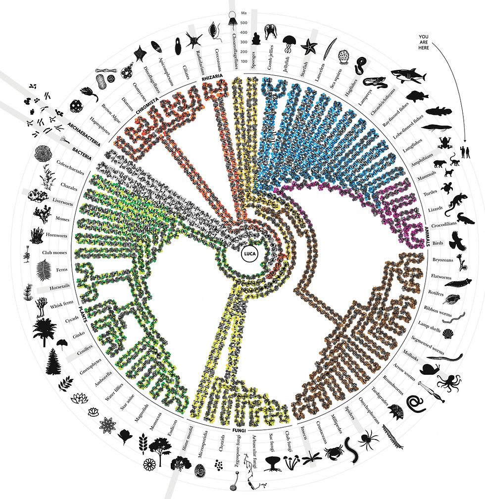 Double-Edged Double-Helical Discoveries? A Discourse on Gene Editing