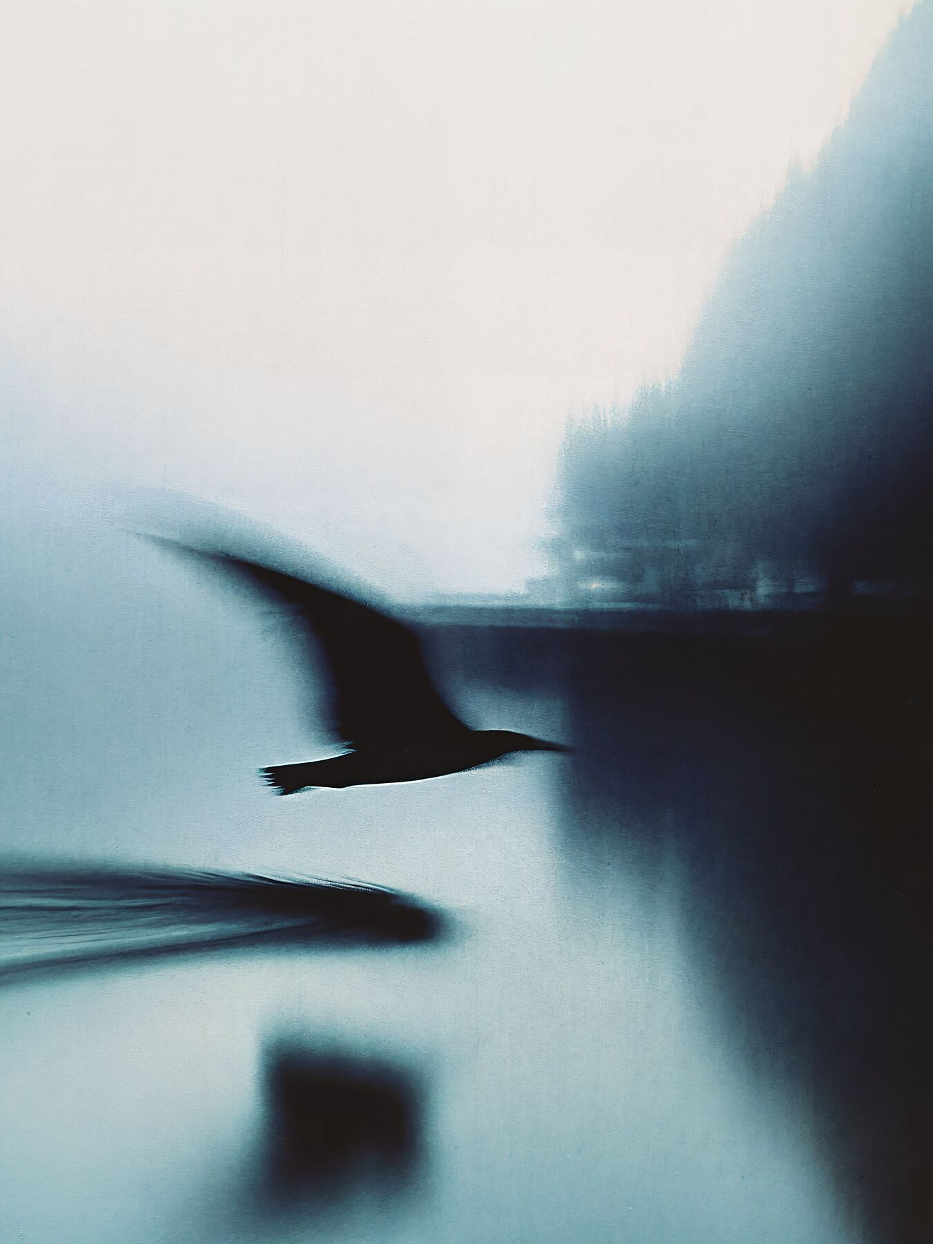 Flight Memory (60x80)