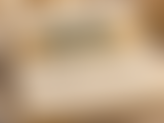 Barnes Foundation: Custodial Override / Public-Access Conversion Case