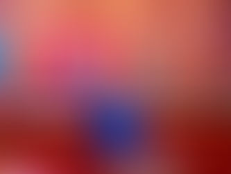 Installation officielle des membres des bureaux des commissions permanentes et du Comité de Conciliation et Arbitrage de la 4ème législature