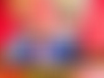 4ème législature de la 3ème République: Sous la présidence de l'Honorable Jean-Michel Sama Lukonde, les sénateurs poursuivent la mise en place des commissions permanentes