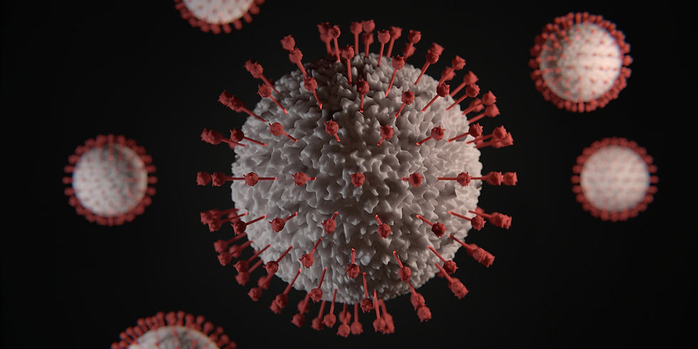 Wirus HPV w przybliżeniu.