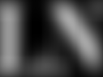 Ladue News: Brain Injury Foundation of St. Louis 10 Year Anniversary Gala