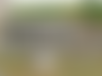 Prieuré de Saint-Jean-des-Bonshommes