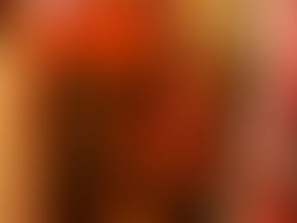 La collection unique et exceptionnelle Yao, Mien et Mun du musée de l'Avallonnais