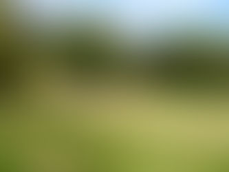 Le site archéologique d'Ormesson