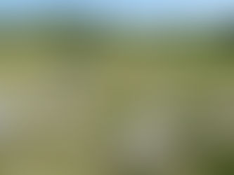 Gergovie, l’unique défaite de Jules César durant la Guerre des Gaules.