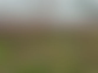 Les anciens vignobles de Périchot et les abattoirs de Vaugirard du parc Georges Brassens.