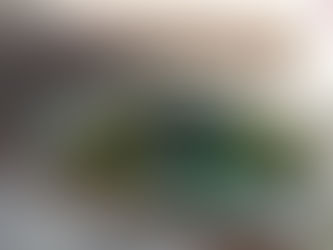 La fosse Dionne à Tonnerre