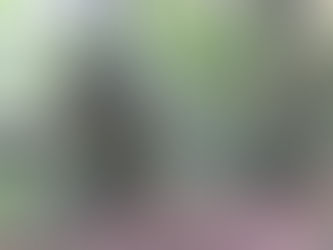 L'alignement des Pierres Frittes, dit menhirs de la propriété Talma