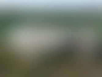 Le dolmen de La Pierre Couverte à Bercenay-le-Hayer