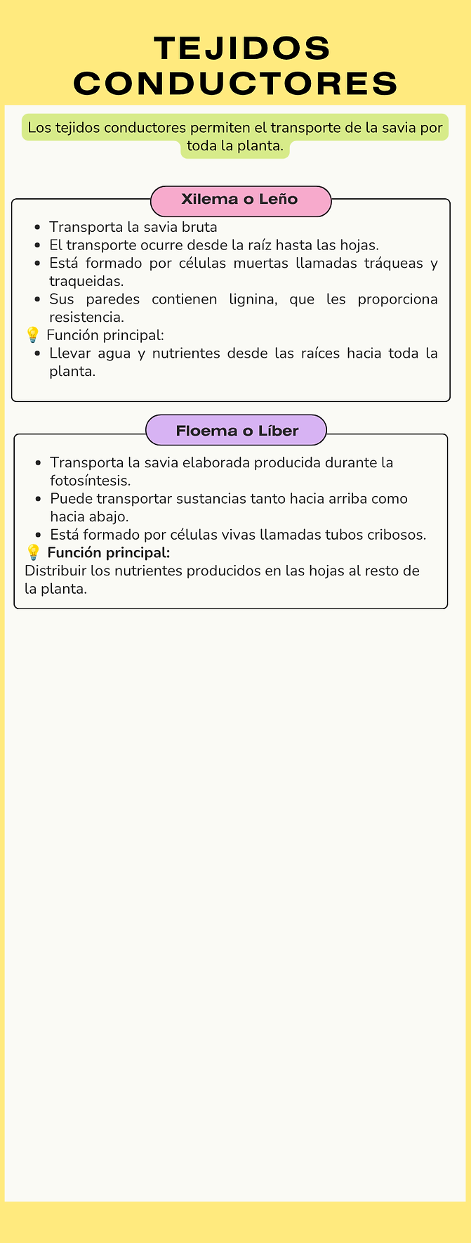 Infografía Proceso Creativo Ilustrativo Colorido Rosa y Amarillo (1).png