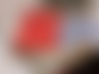 「大草原の小さな家」　～あしかでげんき～