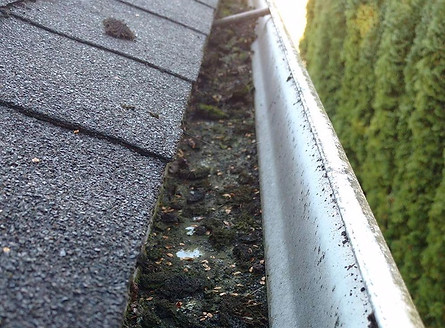 dirty gutter