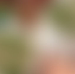 Hydroponic Garden to Table