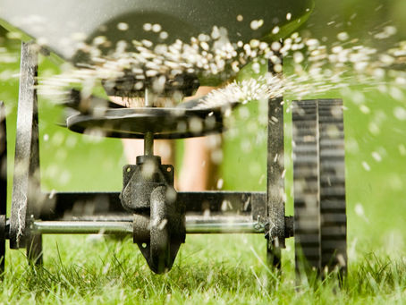 Nutrient Nirvana, unlocking the secrets to spring fertilizer.