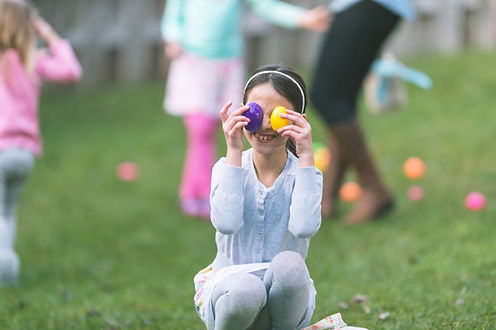 Egg Hunting