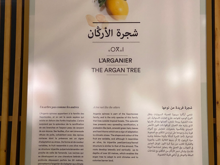 Coup de coeur pour Targant, le musée de l'arganier dans la région d'Agadir
