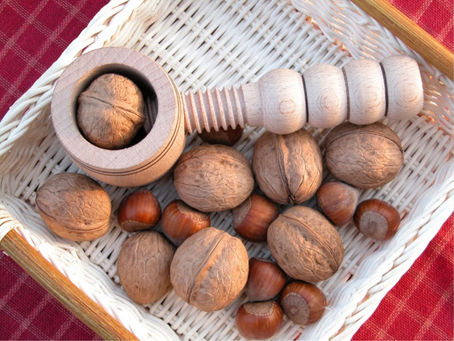 Les fruits à coques dans notre assiette
