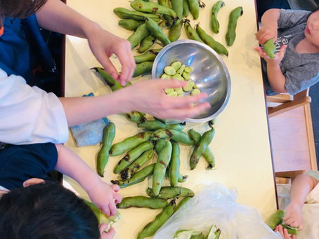 そらまめむきむき