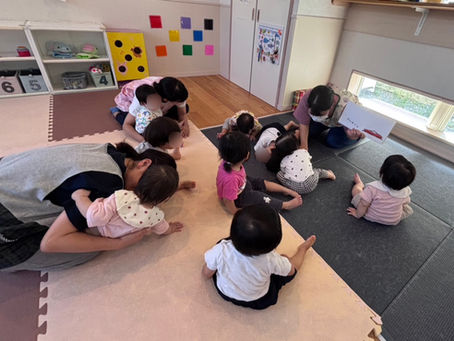 だるまさんが…🤗