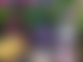 お散歩日和☀️