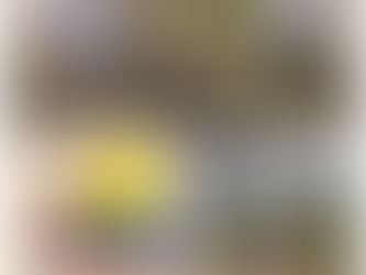 ぽかぽかだね〜🍀