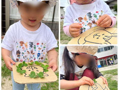 春あつめ楽しいね🍀