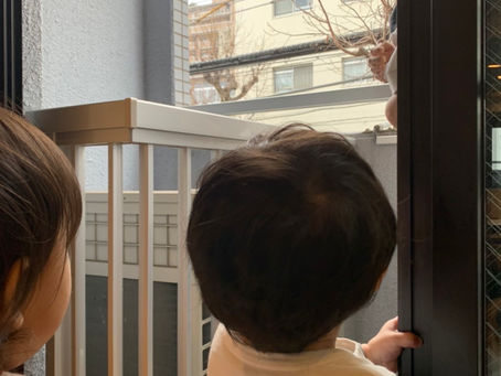 雪が降ってたよ❄️