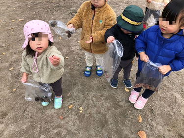 どんぐり、みーつけた!