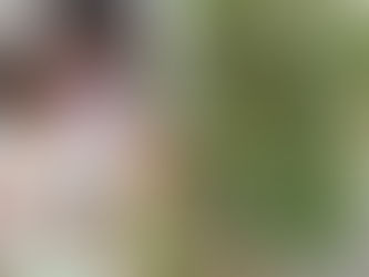 金木犀の香り✨