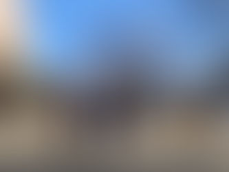 外で元気に遊びました🎶