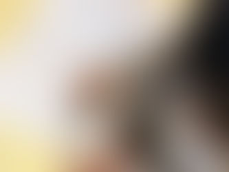 シールぺったん