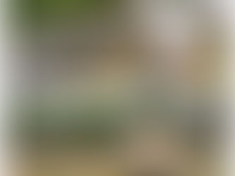 大根みーっけ❗