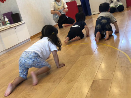 ハイハイレース👶🏻